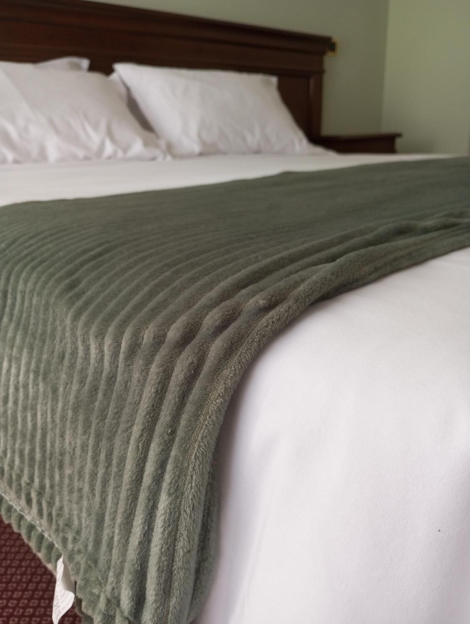 Regina Hotel Pollino مورانو كالابرو المظهر الخارجي الصورة